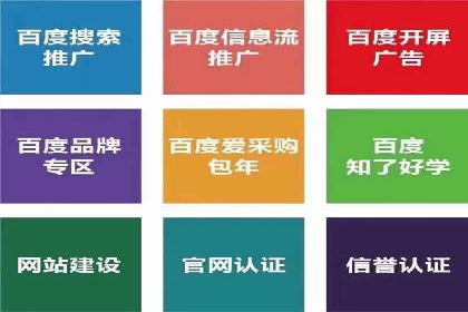 精准投放，高效转化：关键词竞价排名案例解析